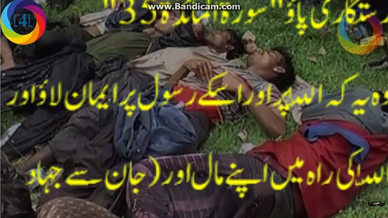 Feel Syria Pain and share video link