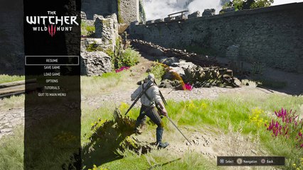 The Witcher 3: Wild Hunt – Complete Edition_20180301125235