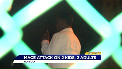 School District Employee Accused in Mace Attack on 2 Kids, 2 Adults