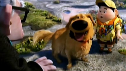 False Fs About Dogs You Always Thought Were True