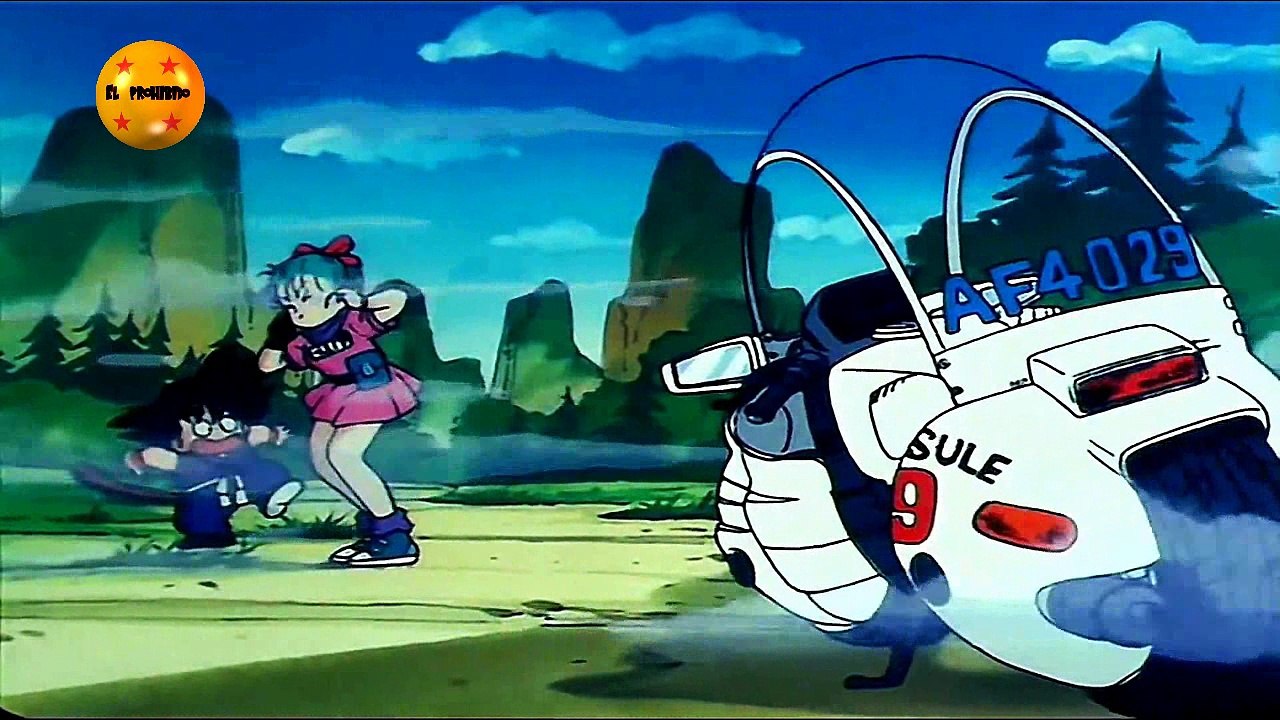 DRAGON BALL CAPITULO 1 PARTE 8
