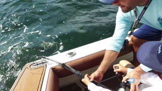 Josh gets Line Burn from Giant Grouper! - ft. Chew On This