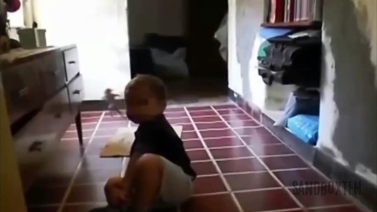 10 STRANGE CREATURES (Gnomes, Trolls & Leprechauns) Caught on Camera