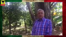 Impresionante !! Peña Nieto vs AMLO. Algo que pocos saben sobre AMLO y que más temen sus enemigos