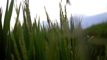 Therapist-Led Meditation: Detaching From Overthinking