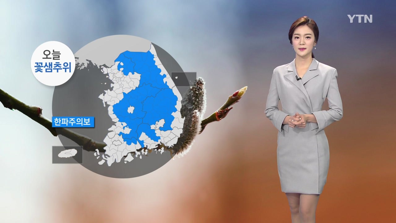 [날씨] 내륙 대부분 한파주의보...낮부터 기온 크게 올라 / YTN