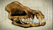 Criaturas Titánicas (Mega Bestias) - 04 - El Oso Perro - Discovery Channel (2009)