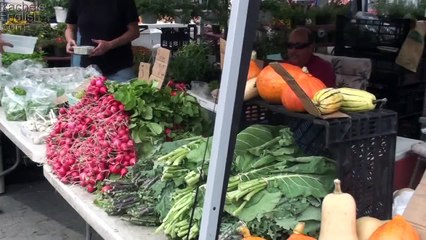 Rachel's English at the Farmer's Market! - American Pronunciation