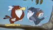 My-Cartoon For Kids Tom And Jerry English Ep. - Flirty Birdy  - Cartoons For Kids Tv