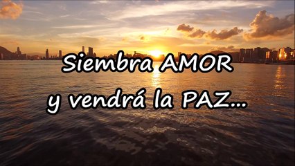 Siembra AMOR - Pista - Bienvenido Javier Dominguez