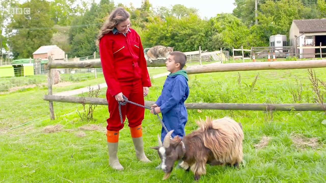ferne-and-rorys-vet-tales-s01e15-gerald-the-goat-video-dailymotion