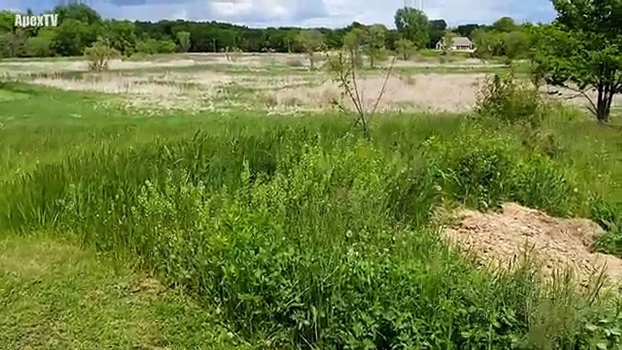 7 Real Aliens Caught on Tape (NEW) 2017