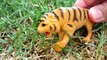 Safari Jungle ZOO Animals Toys-Learn Names and Sounds of Wild Animals-Kids Z fun
