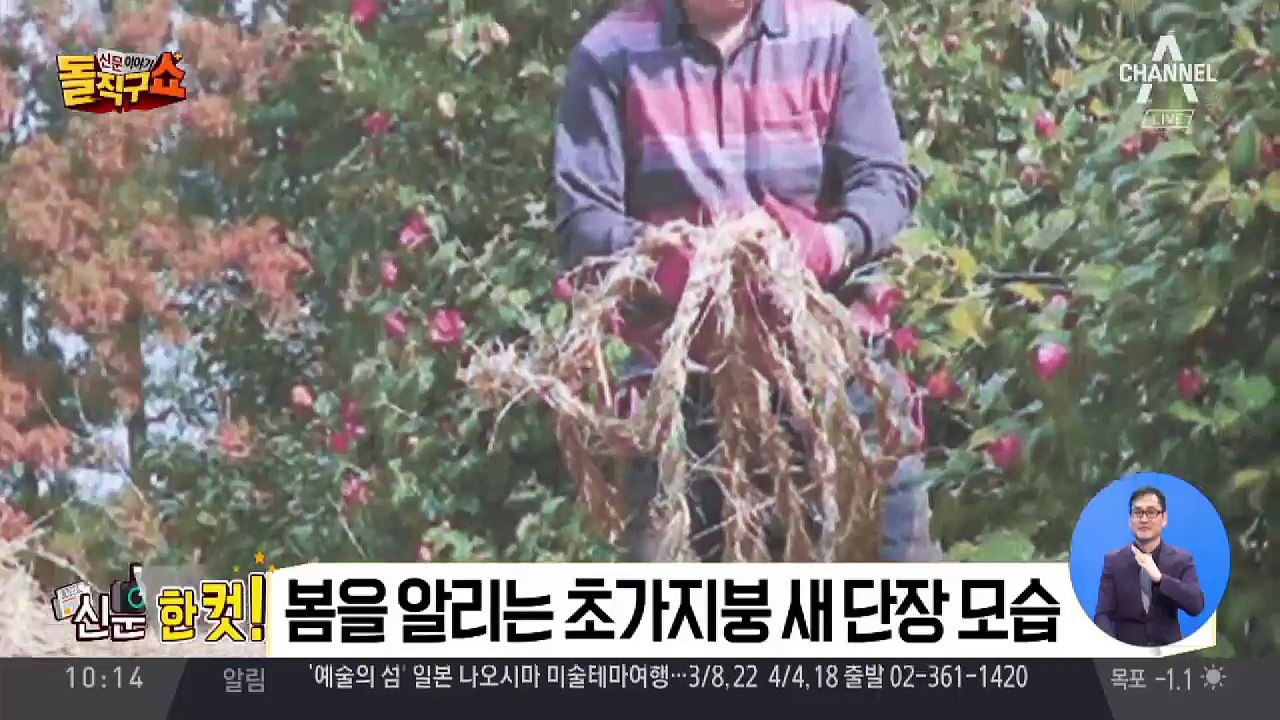 [신문 한 컷]신문 속 봄을 알리는 사진들 外