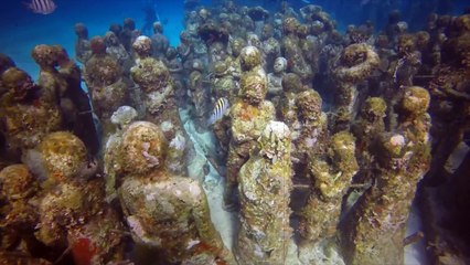 10 Weirdest Things Ever Found in the Ocean