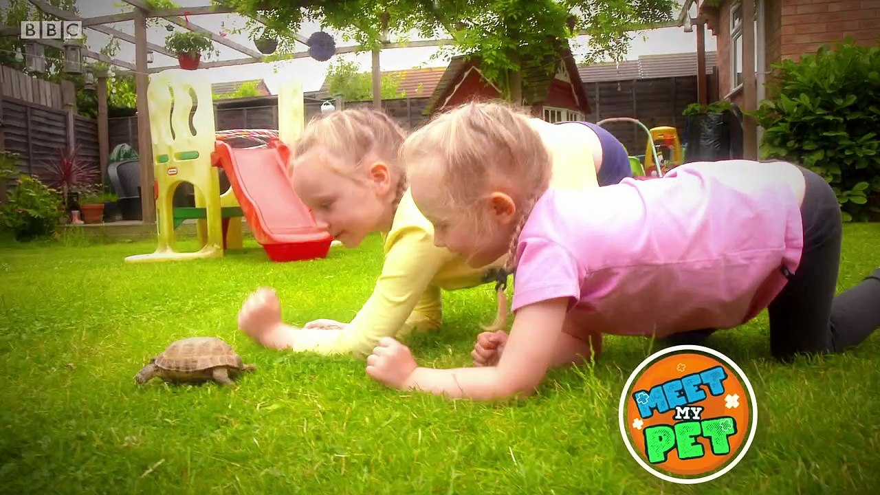 Ferne and Rorys Vet Tales.s01e07.Turbo the Tortoise