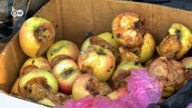 Solar power to cut food waste | Eco-at-Africa