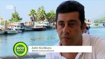 Marine Biodiversity under threat in Turkey | Eco-at-Africa