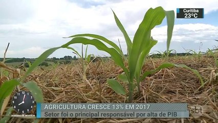 Agropecuária foi a principal responsável pelo aumento do PIB em 2017