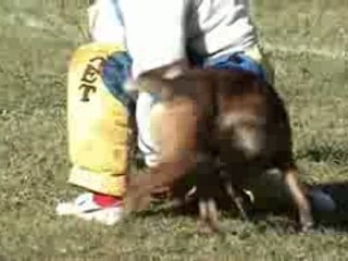 Recherche tourbillon st claude