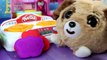 Gotowanie Obiadu - ZigaMazoos & Play-Doh - Bajki i Kreatywne Zabawy dla dzieci