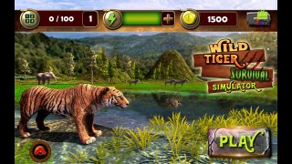 Wild Tiger Survival Simulator (by Vital Games Production) Android Gameplay [HD]