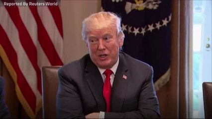 Trump's Tariffs May Destroy Jobs Rather Than Create