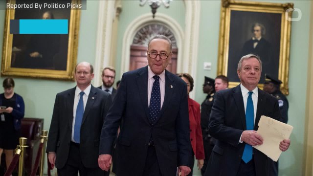 Could Dems Ride Gun Issue To Majority In The House?