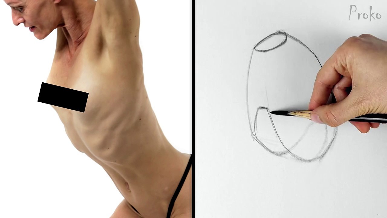 How to Draw the Rib Cage - Human Anatomy for Artists