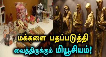 உலகில் இப்படியும் ஒரு மியூசியம் உள்ளதா?- வீடியோ