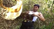 Cet homme se couvre d'abeilles