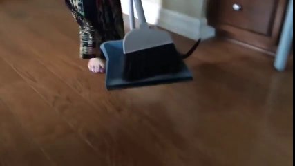 Ramasser ses chatons avec un balai et une pelle