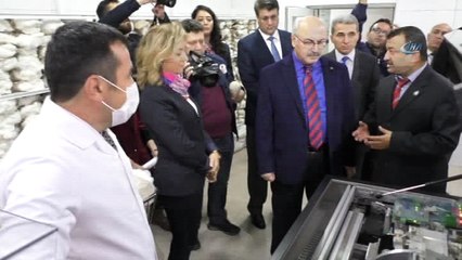 Yerli pamuk dünyayla rekabet edecek