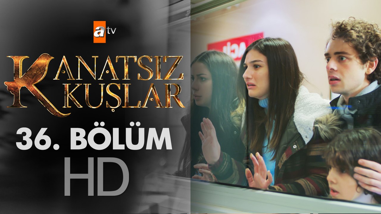 Kanatsız Kuşlar 36. Bölüm