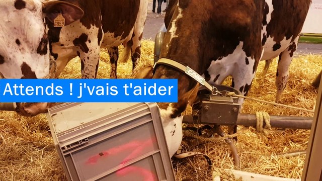 Un résumé du salon de l'agriculture