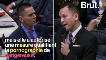 "Quelqu’un est-il déjà mort à cause de la pornographie ?" :  la Floride estime que le porno est dangereux pour la santé... mais pas les fusils d'assaut