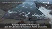 Antarctique: découverte de 1,5 million de manchots Adélie