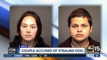 Groomer, boyfriend arrested for stealing dog from Mesa salon