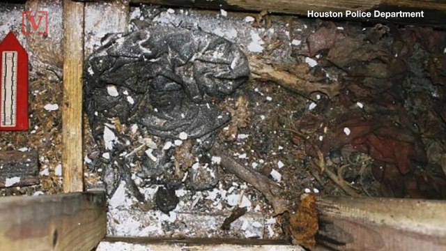 Skeletal Remains Of Woman Who Disappeared In 2015 Found In Wall Of Own Home