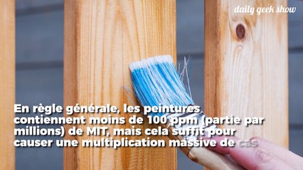 03-03-2018 PEINTURES