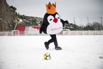 Kinguin nouveau partenaire de la Team eSports