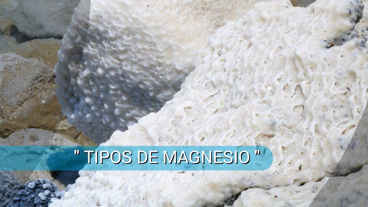 Tipos de Magnesio - Cual en general es Mejor