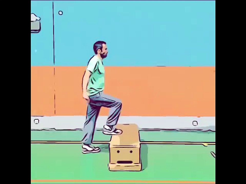 Fentes_sautees_N3