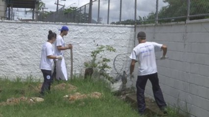 Gremar, la ONG que ofrece una segunda oportunidad a decenas de animales