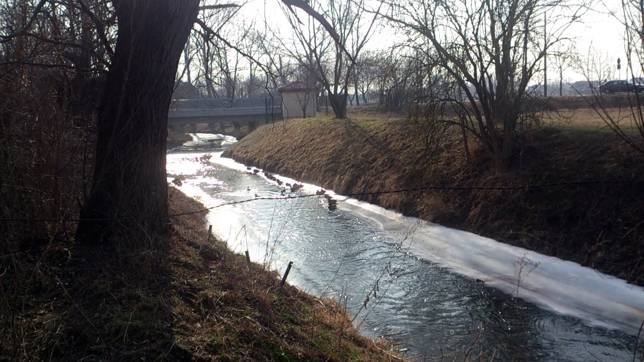 Die  Fuhne friert zu!