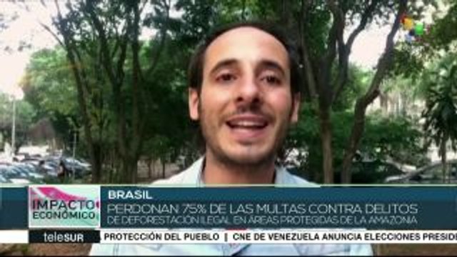 Brasil: perdonan 75% de las multas por delitos de deforestación ilegal