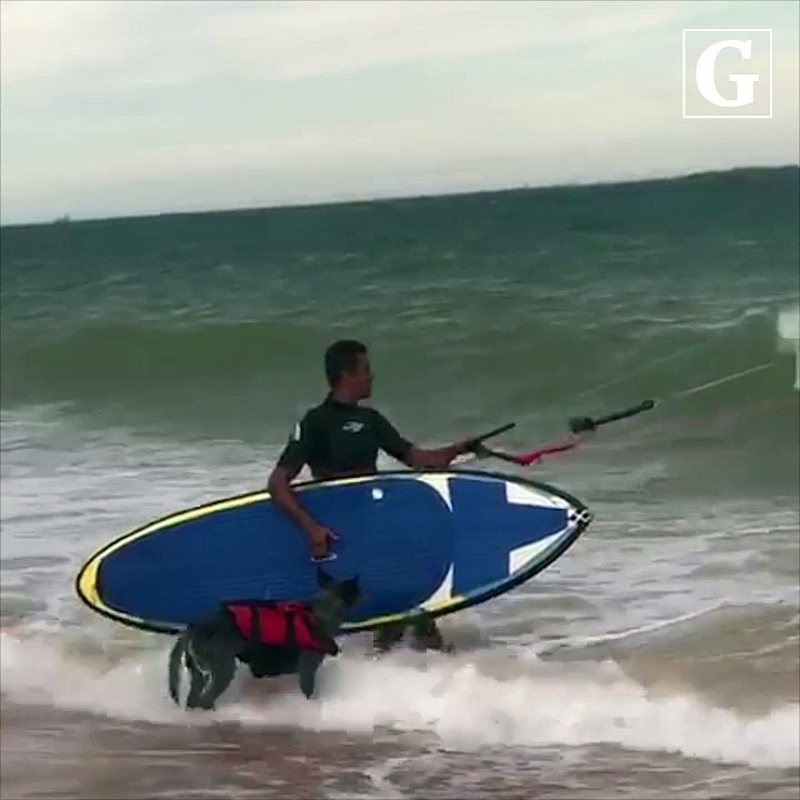 Cachorro capixaba pratica Kite Surf