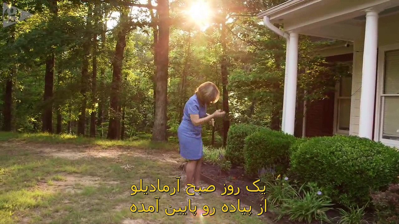 فیلم مستند - ملت تفنگی 2016
