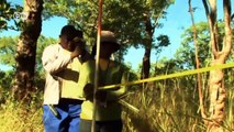 Measuring the Miombo forest | Global Ideas