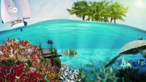 Conserving coral reefs | Global Ideas